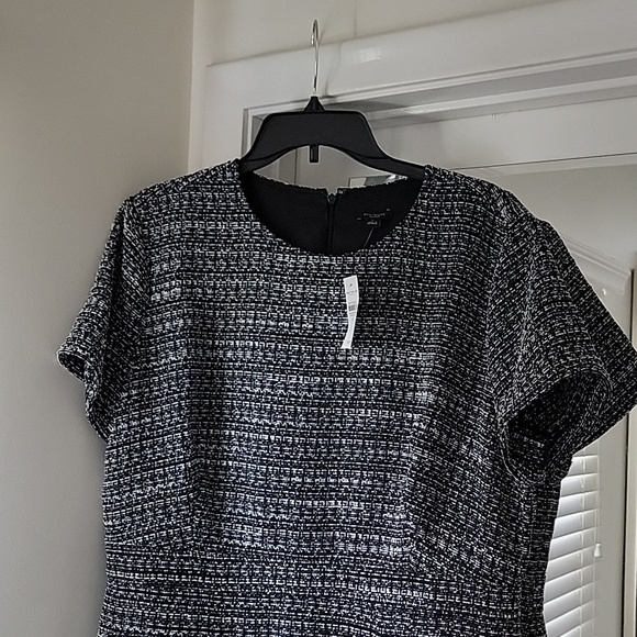 Ann Taylor Brand New Dress size 16 - Picture 4 of 7